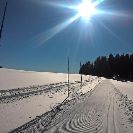 Apartman Nad Terasou Říčky Exteriör bild