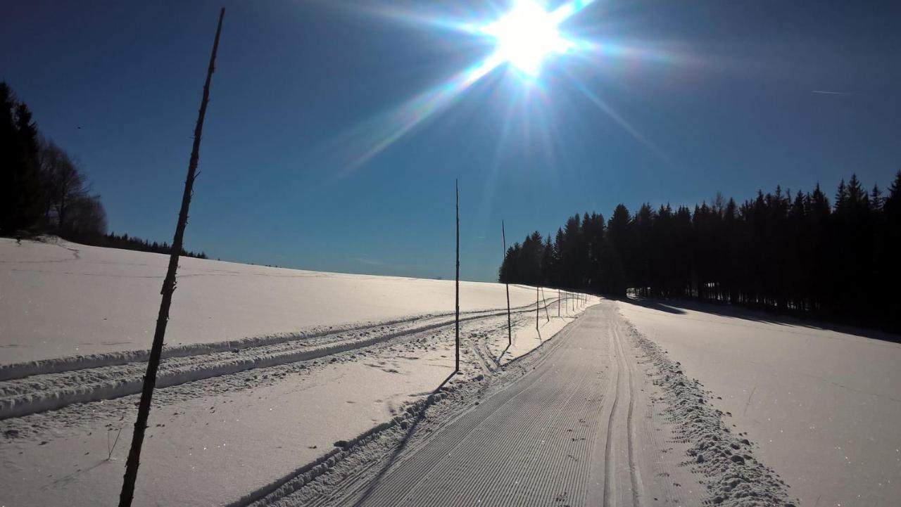 Apartman Nad Terasou Říčky Exteriör bild