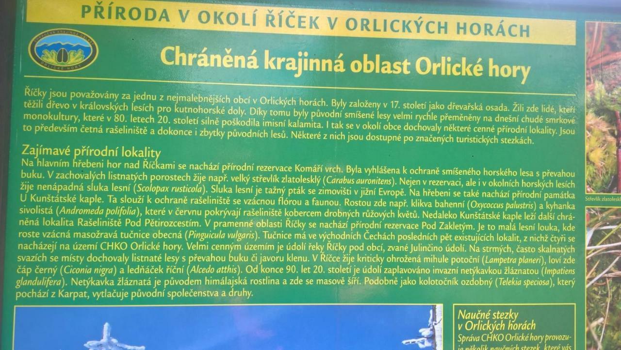 Apartman Nad Terasou Říčky Exteriör bild